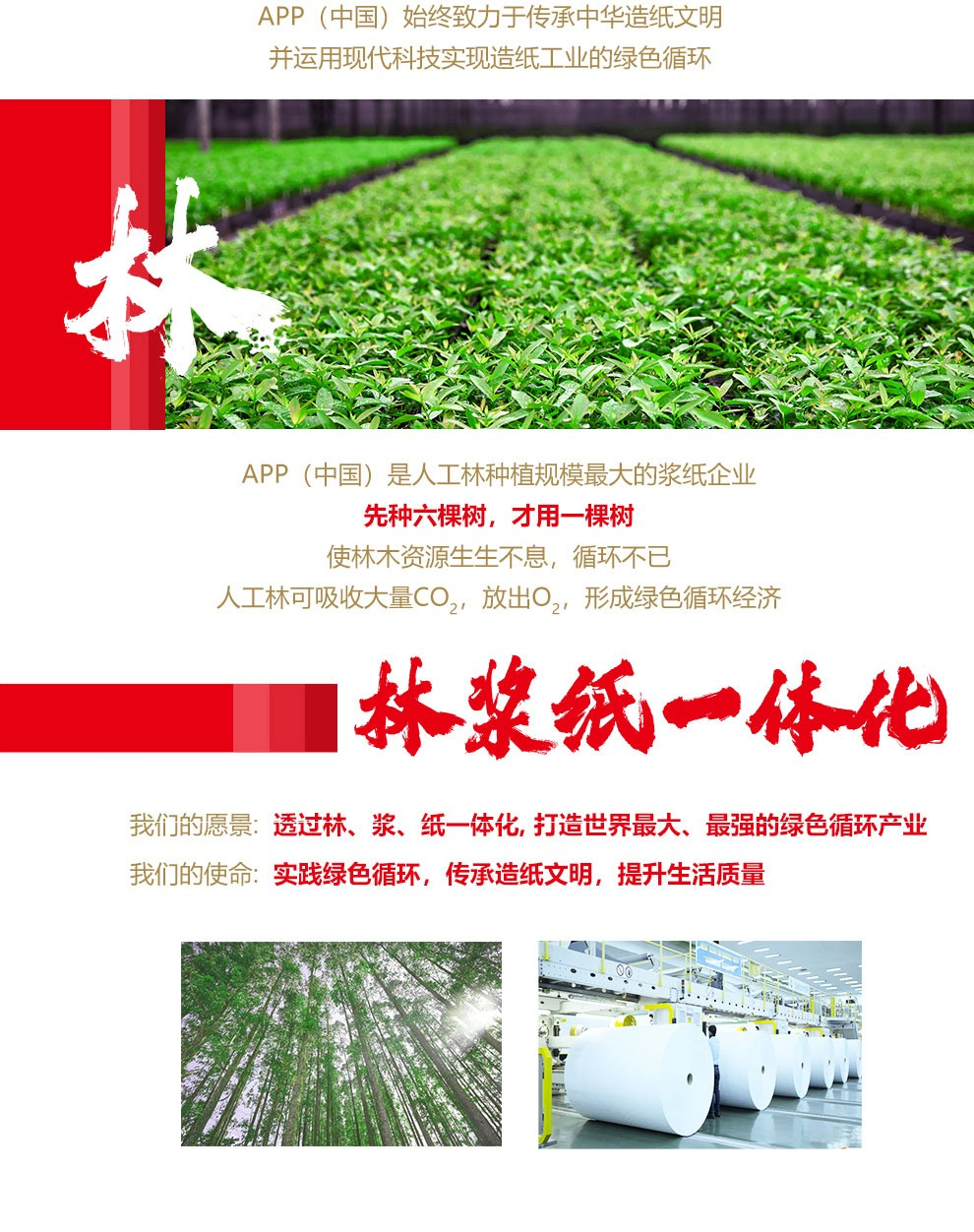 复印纸/打印纸(图6)